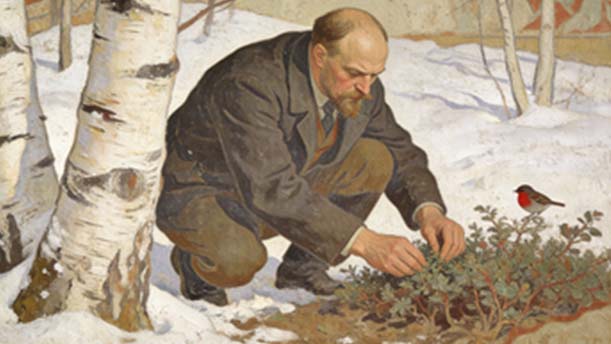 灰雀——关于童话寓言的朗诵经典篇目