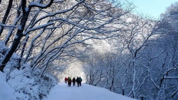 雪花的快乐2——关于经典散文的朗诵经典篇目