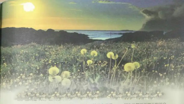 芣苢——关于经典散文的朗诵经典篇目