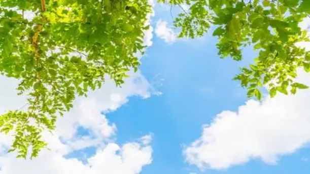 树和天空——关于经典散文的朗诵经典篇目