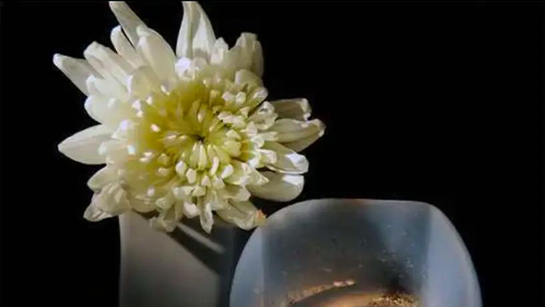 爸爸,天堂的病人将再无痛苦——关于挚爱真情的朗诵经典篇目