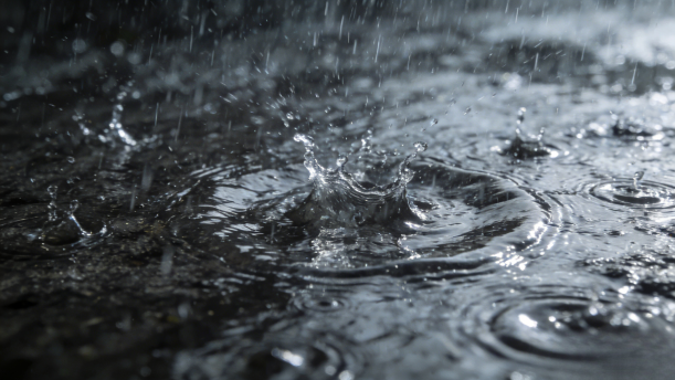 青少年口语表达教程(第六册)第八课-8.2-语言表达——关于经典散文的朗诵经典篇目