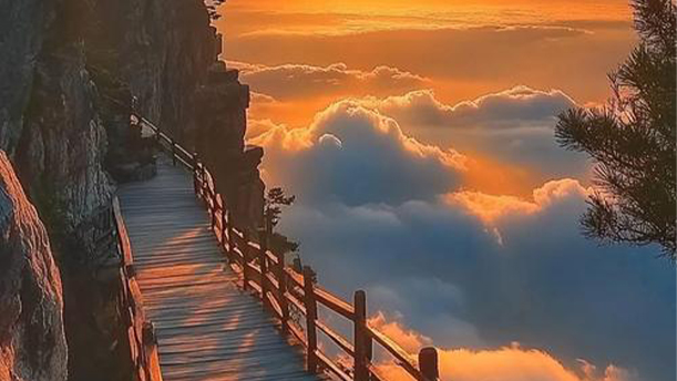 我有一个可爱的祖国——关于党政祖国的朗诵经典篇目