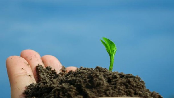 我只需要一小块土壤——关于挚爱真情的朗诵经典篇目