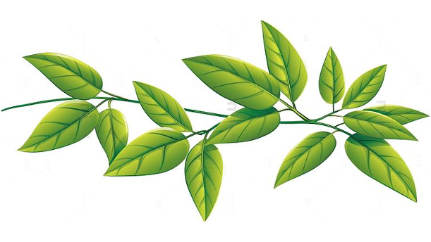 绿叶的交响——关于经典散文的朗诵经典篇目