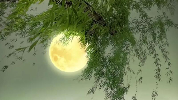 卜算子 送鲍浩然之浙东——关于古风诗词的朗诵经典篇目