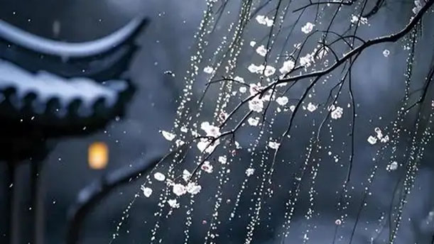 沁园春·雪——关于古风诗词的朗诵经典篇目