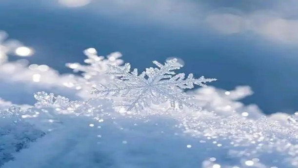 中华朗诵艺术十五讲-15.4-第四节-《沁园春·雪》朗诵辨析——关于经典散文的朗诵经典篇目