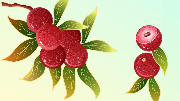 我爱故乡的杨梅——关于经典散文的朗诵经典篇目