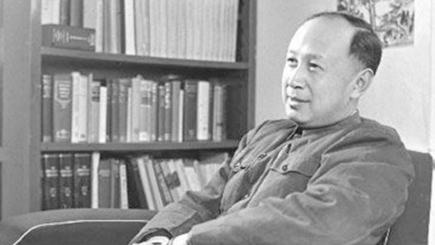 泡桐花盛开的时节——关于党政祖国的演讲经典篇目